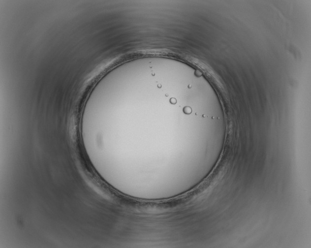 X0000114530533200910191012