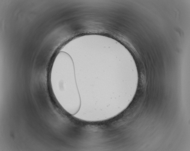 X0000114530534200910191012