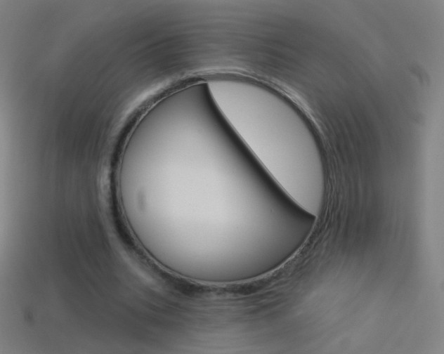X0000114530535200910191012