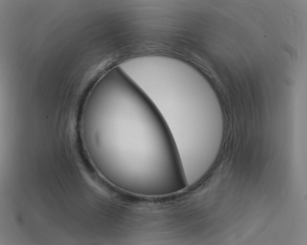 X0000114530538200910191012