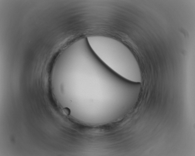 X0000114530542200910191012