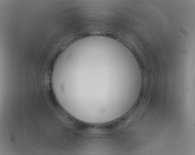 X0000114530545200910191012