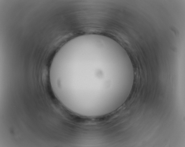 X0000114530550200910191012