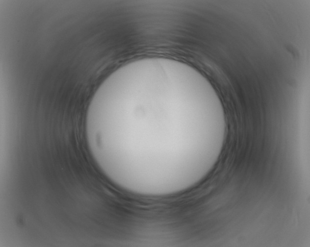 X0000114530558200910191012