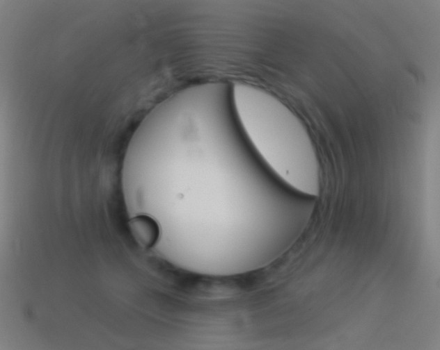 X0000114530559200910191012