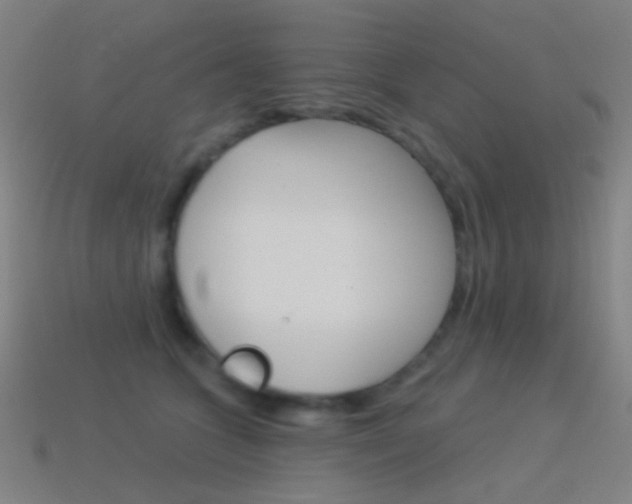 X0000114530563200910191012