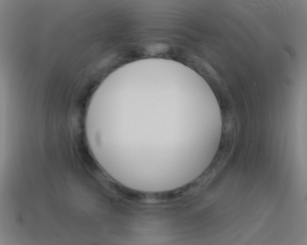 X0000114530565200910191012