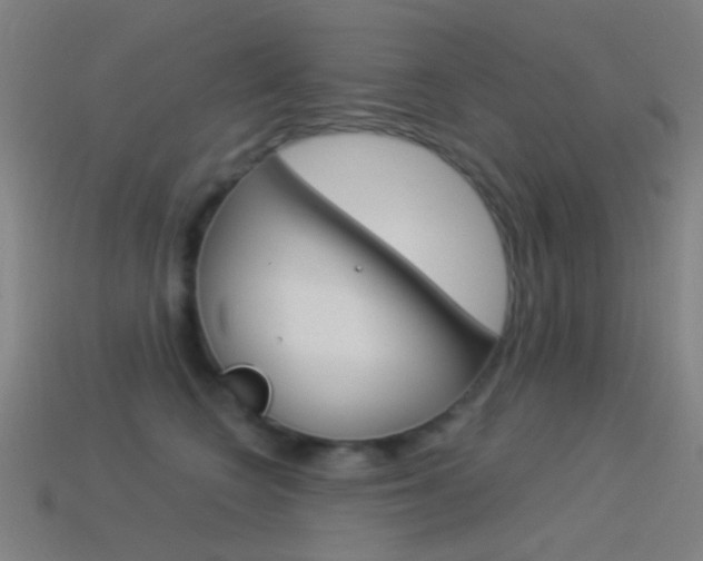 X0000114530566200910191012