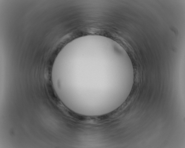 X0000114530569200910191012