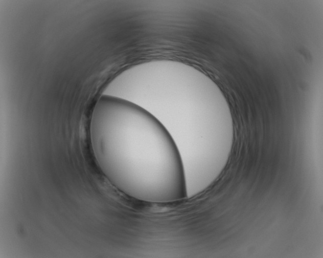 X0000114530570200910191012