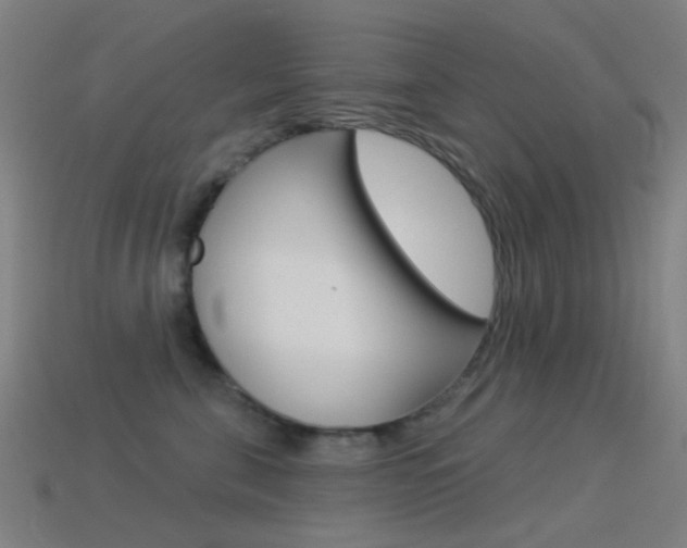 X0000114530571200910191012