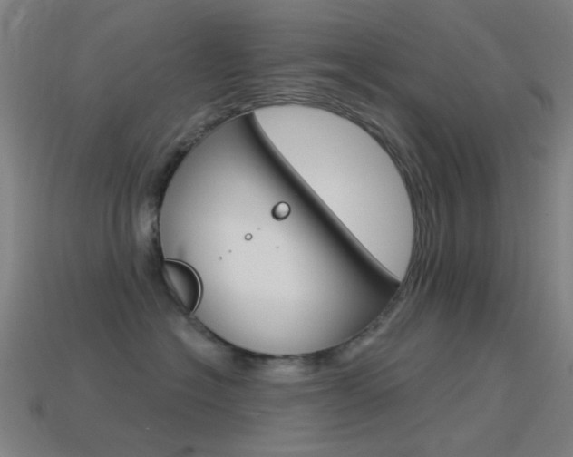 X0000114530574200910191012