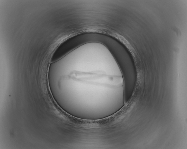 X0000114530577200910191012