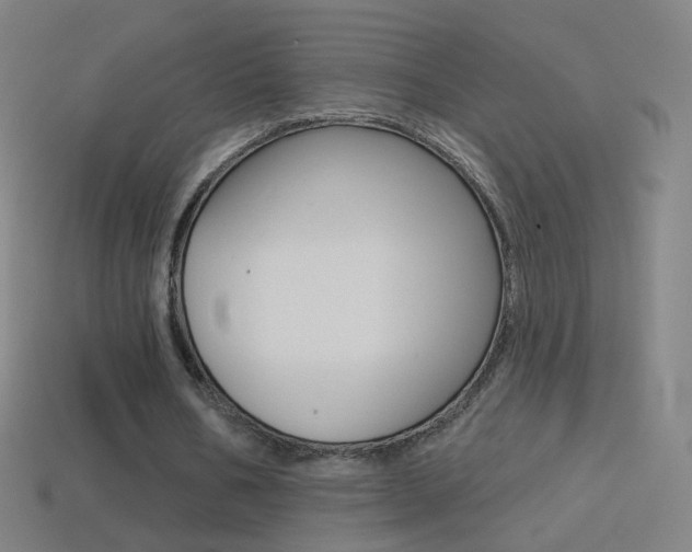 X0000114530578200910191012