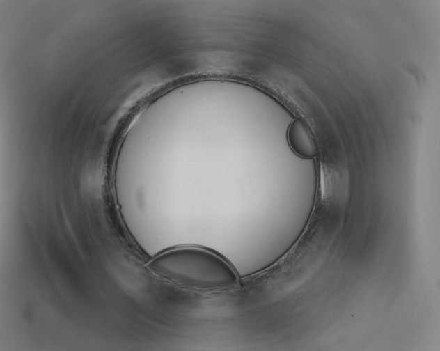 X0000114530579200910191012