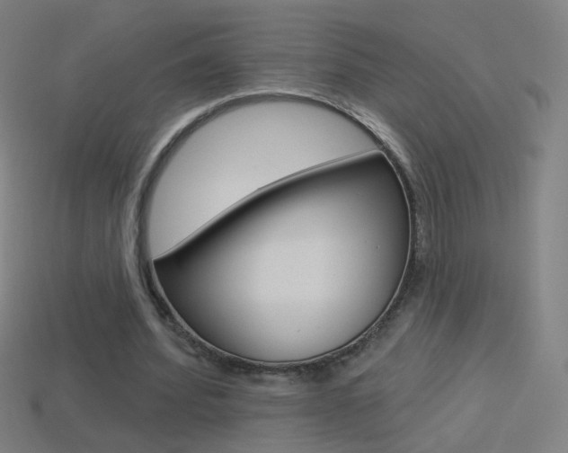 X0000114530580200910191012