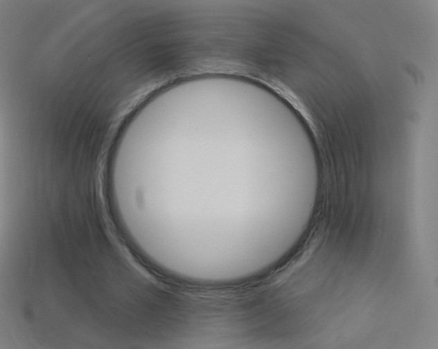 X0000114530581200910191012