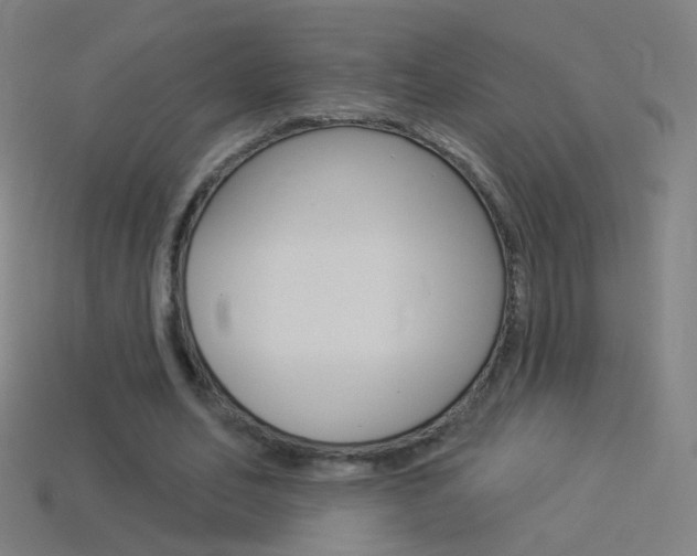 X0000114530582200910191012
