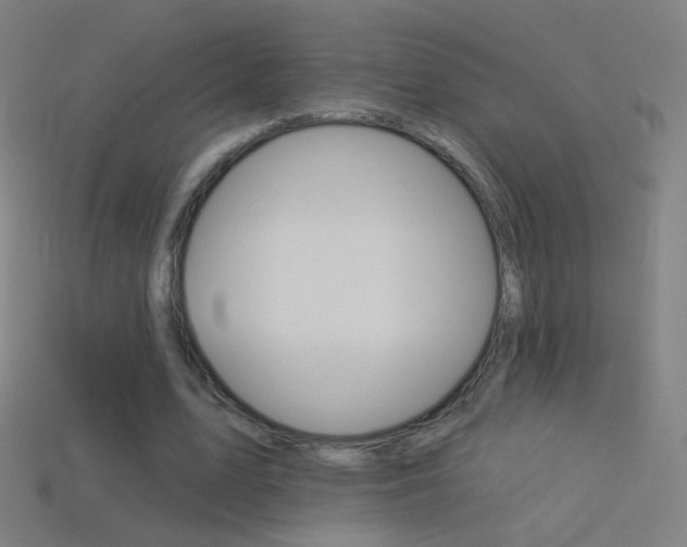X0000114530583200910191012
