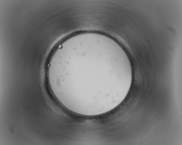 X0000114530584200910191012
