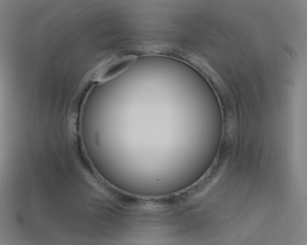 X0000114530585200910191012