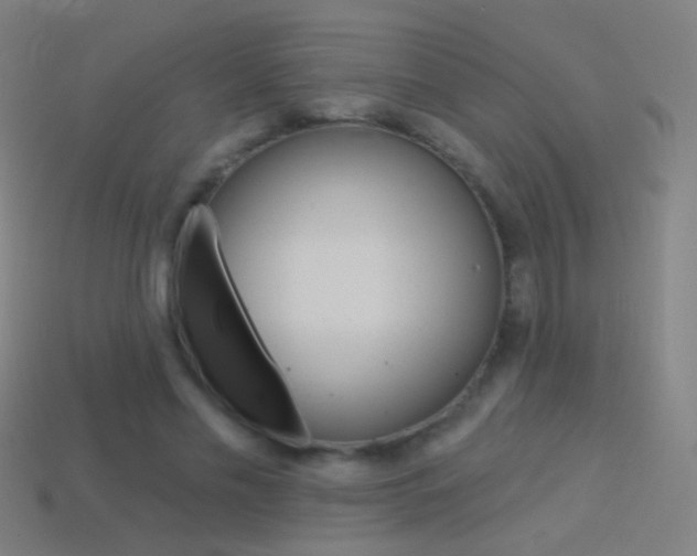 X0000114530589200910191012