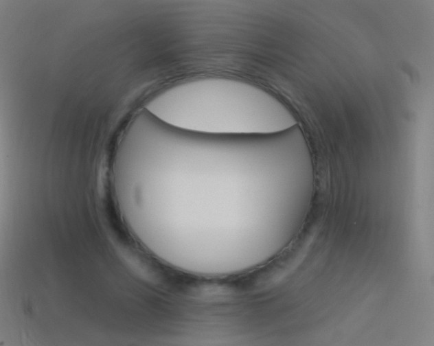 X0000114530590200910191012