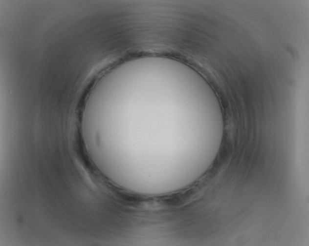 X0000114530591200910191012