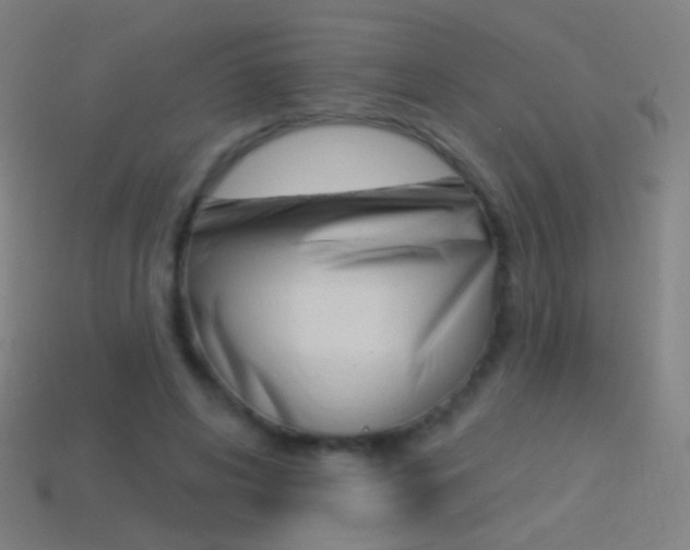 X0000114530592200910191012