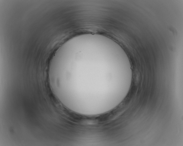 X0000114530595200910191012