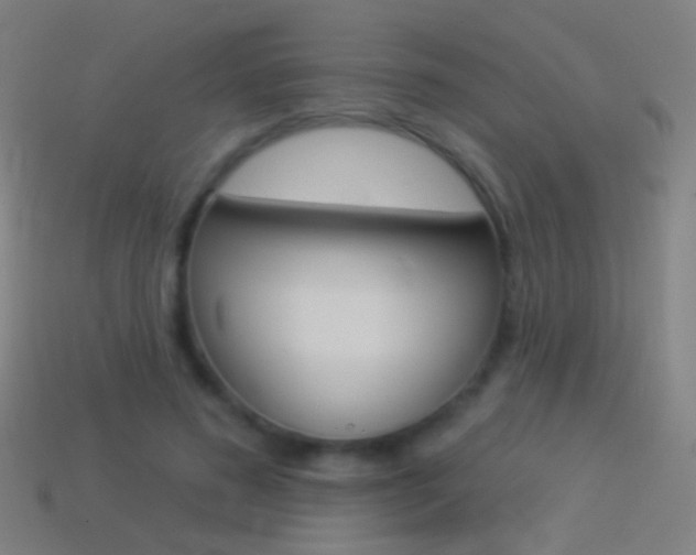 X0000114530596200910191012