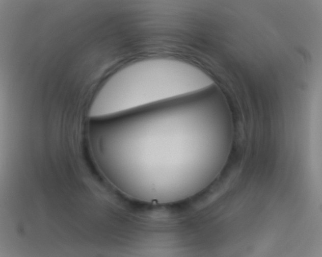 X0000114530600200910191012