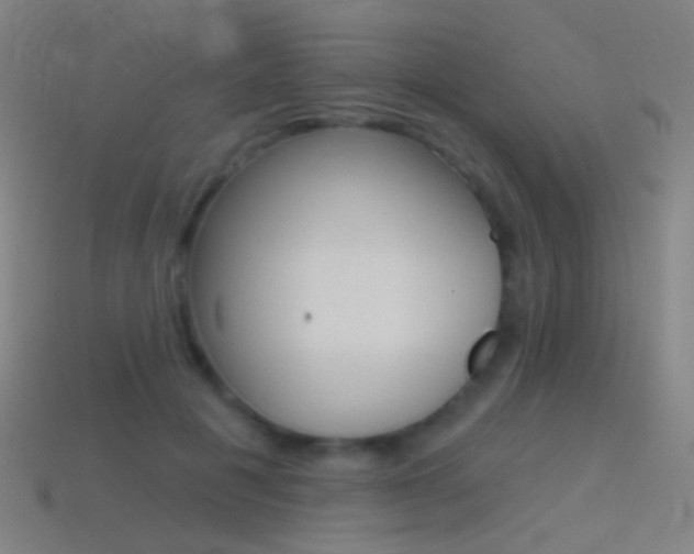 X0000114530601200910191011