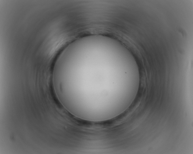 X0000114530604200910191011