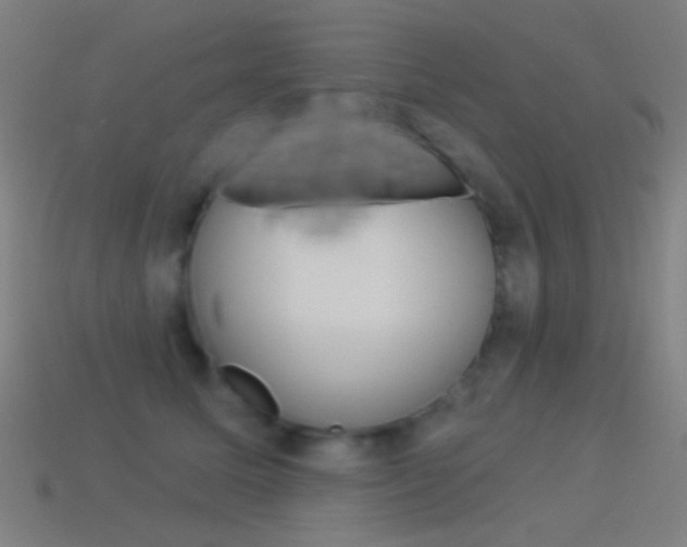 X0000114530611200910191011