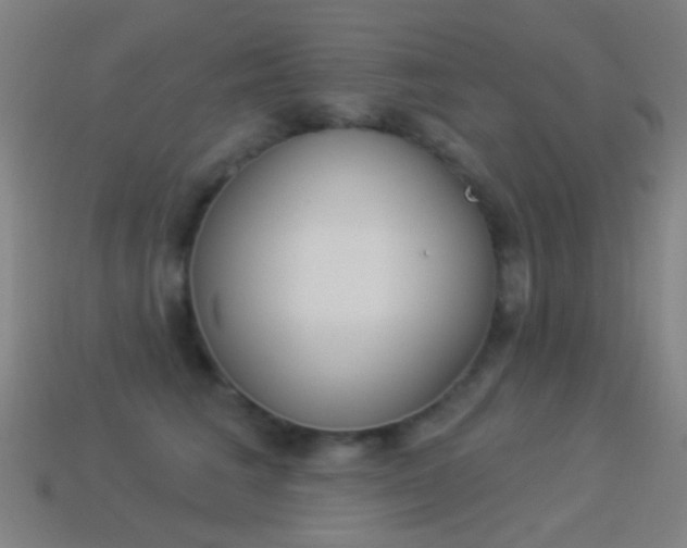 X0000114530613200910191011