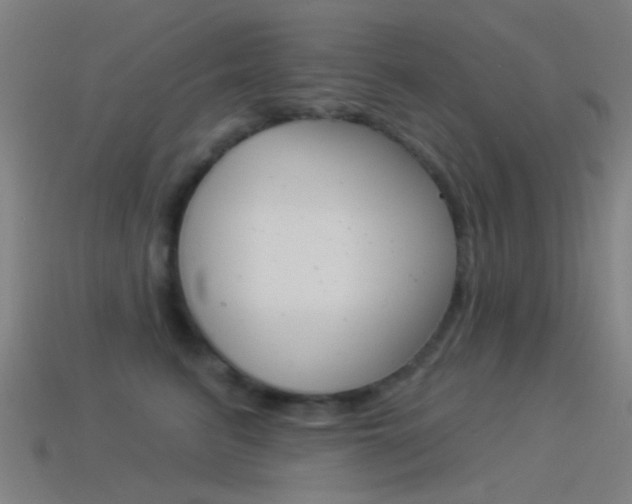 X0000114530615200910191011