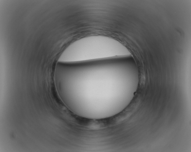 X0000114530616200910191011