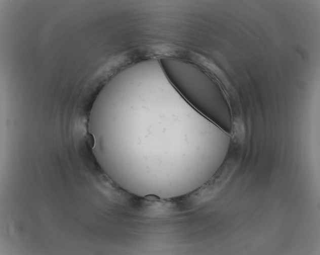 X0000114530621200910191011