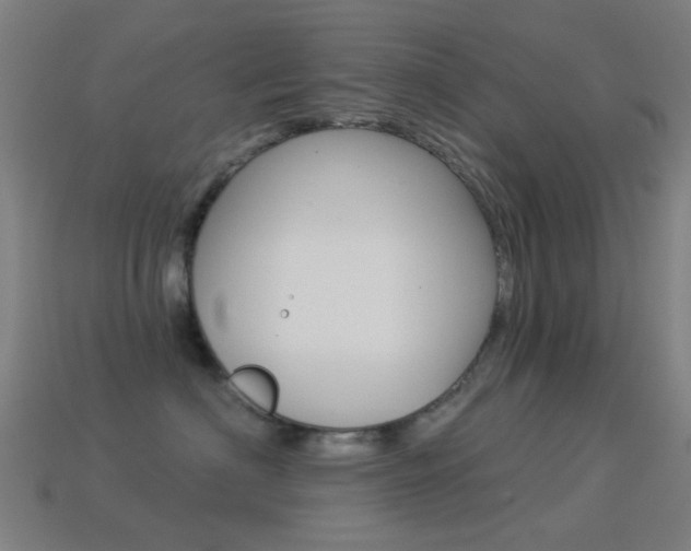 X0000114530622200910191011