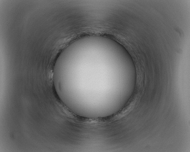 X0000114530624200910191011