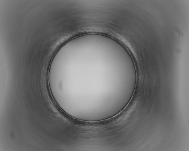 X0000114530625200910191011