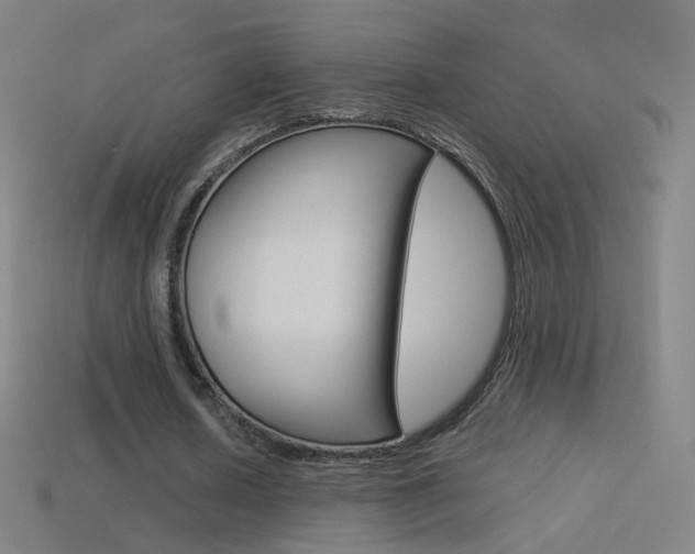 X0000114530626200910191011