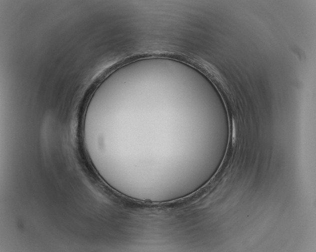 X0000114530627200910191011