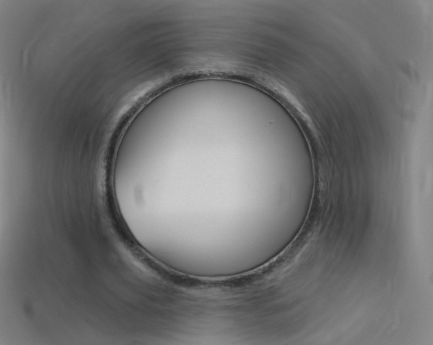 X0000114530629200910191011