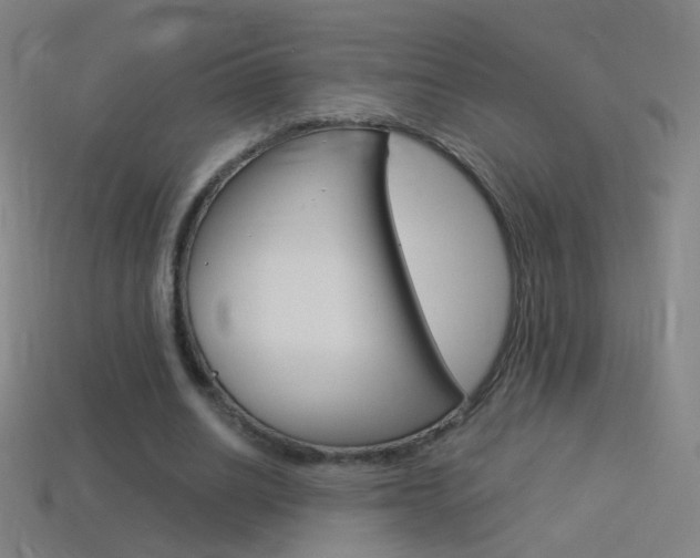 X0000114530630200910191011
