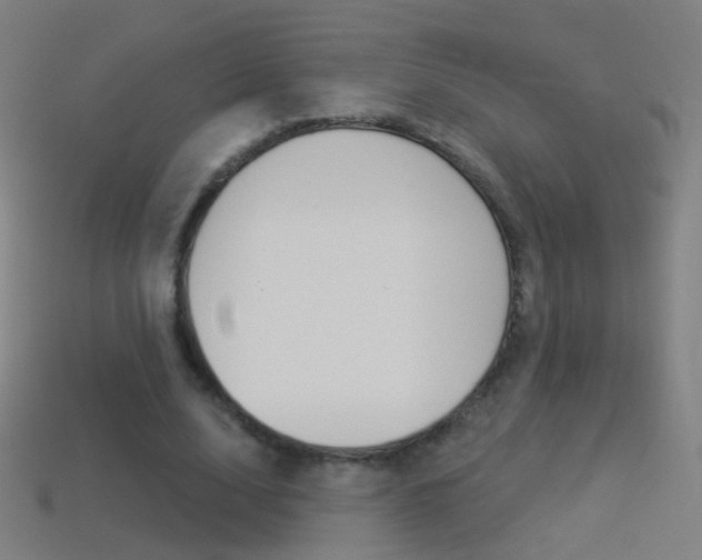 X0000114530632200910191011