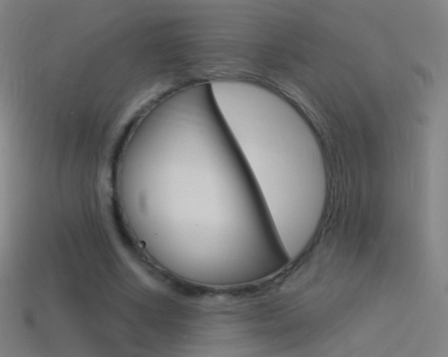 X0000114530634200910191011
