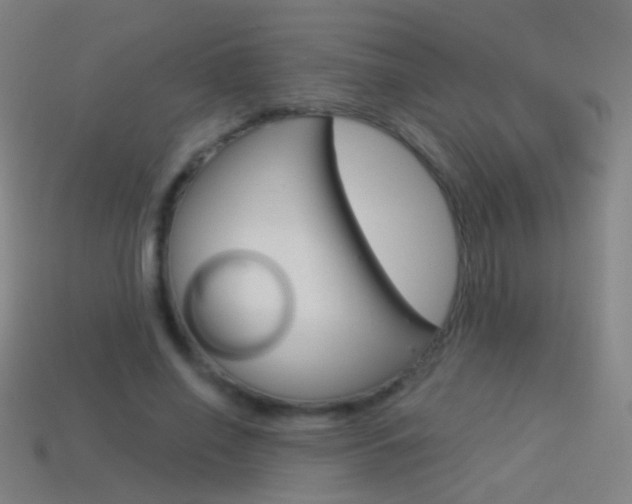 X0000114530638200910191011