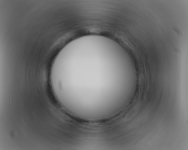 X0000114530639200910191011